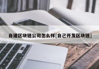 自建区块链公司怎么样[自己开发区块链]